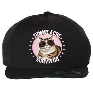 Funny Cat Stomach Ache My Tummy Hurts Tummy Ache Survivor Wool Snapback Cap