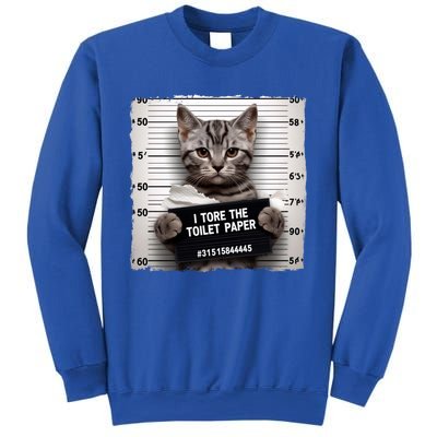 Funny Cat Sarcastic Kitten Animal Humor Cat Cool Gift Sweatshirt