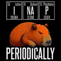 Funny Chemistry Science I Nap Periodically Capybara Lover Bucket Hat