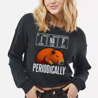 Funny Chemistry Science I Nap Periodically Capybara Lover Cropped Pullover Crew