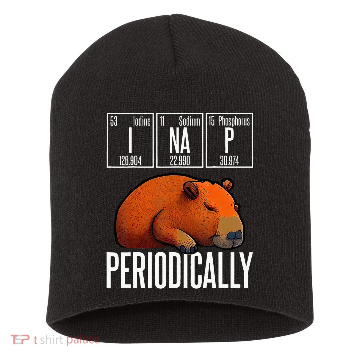 Funny Chemistry Science I Nap Periodically Capybara Lover Short Acrylic Beanie