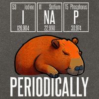 Funny Chemistry Science I Nap Periodically Capybara Lover Cotton Canvas Backpack