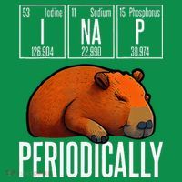 Funny Chemistry Science I Nap Periodically Capybara Lover Sweatshirt