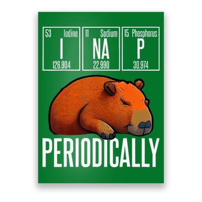 Funny Chemistry Science I Nap Periodically Capybara Lover Poster