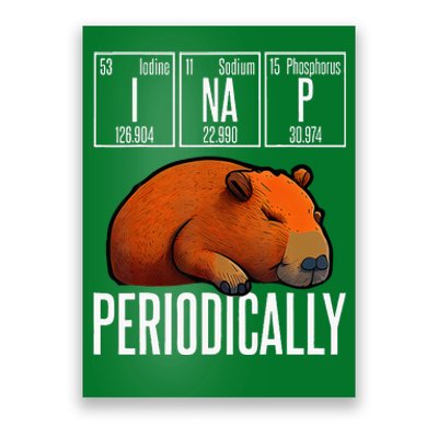 Funny Chemistry Science I Nap Periodically Capybara Lover Poster