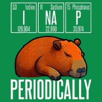 Funny Chemistry Science I Nap Periodically Capybara Lover Womens T-Shirt