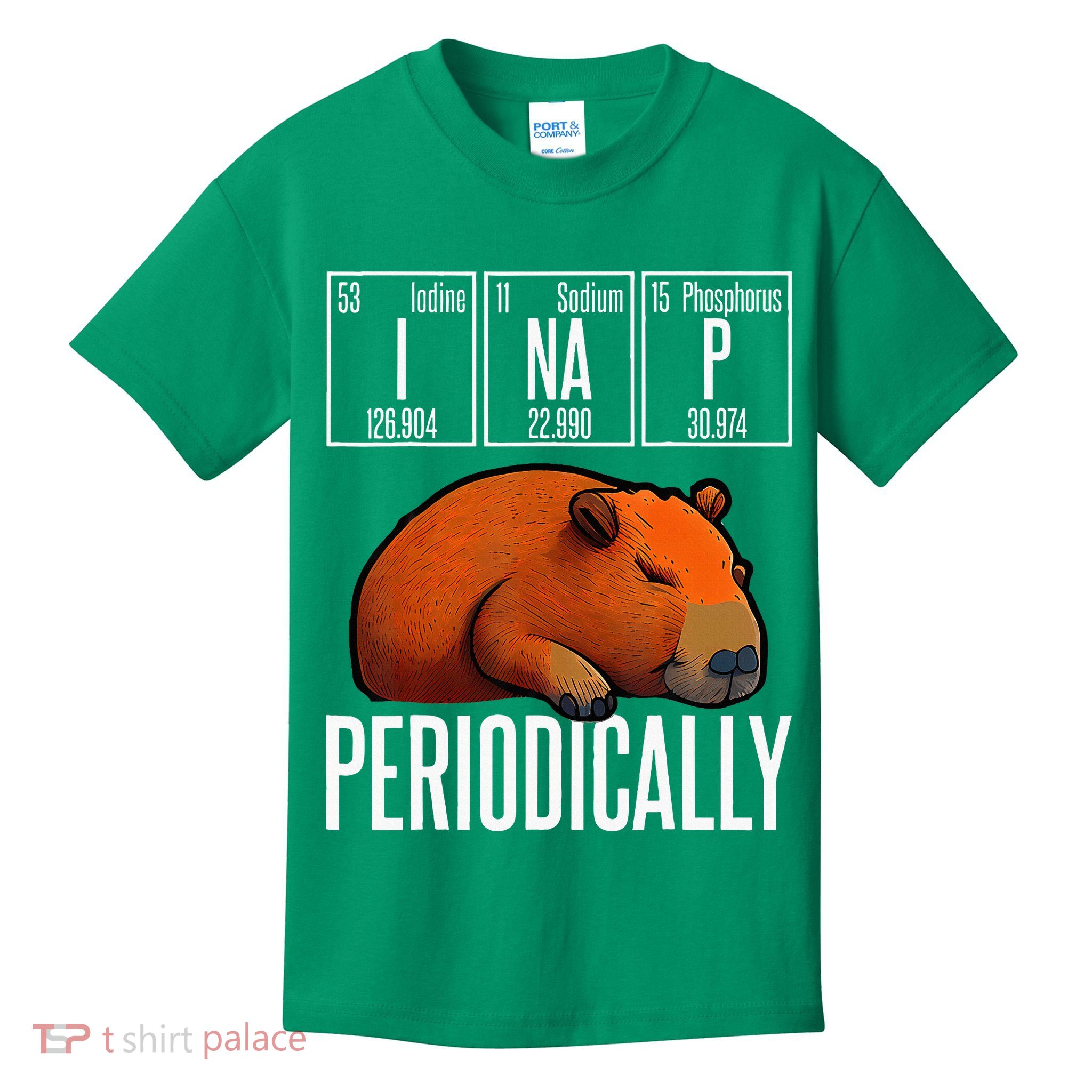 Funny Chemistry Science I Nap Periodically Capybara Lover Kids T-Shirt