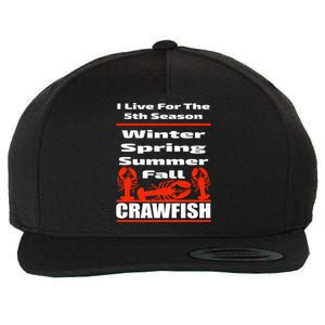 Funny Crawfish Season Mudbug Party Gift Cool Gift Wool Snapback Cap