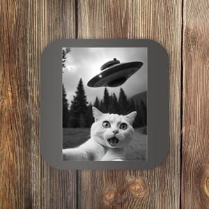 Funny Cat Selfie With A Ufo Coaster