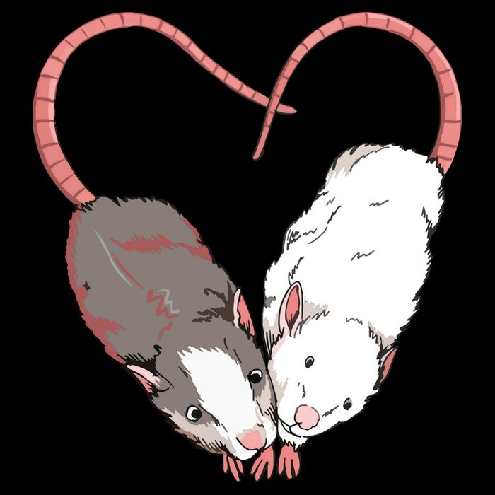 Funny Cute Small Rodent Pet Happy Heart Love Rat Lovers Sweatshirt