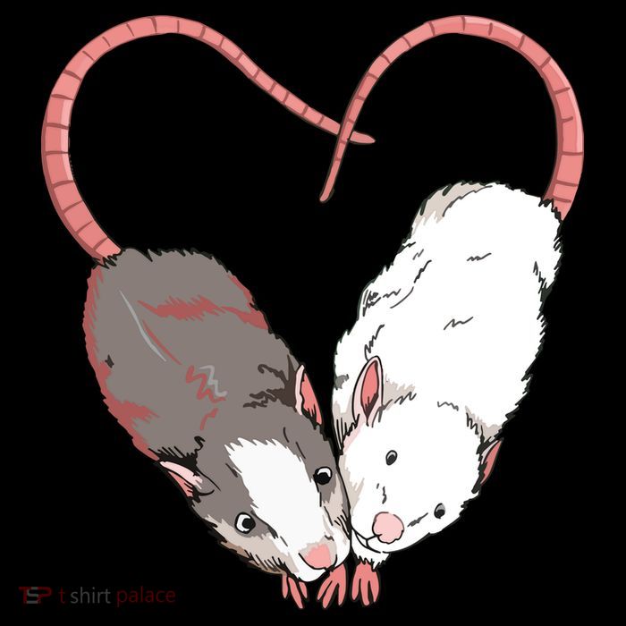 Funny Cute Small Rodent Pet Happy Heart Love Rat Lovers Flatbill Hat