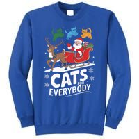 Festive Cat Santa Cats For Everybody Xmas Cat Christmas Cats Gift Tall Sweatshirt