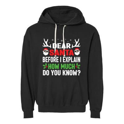 Funny Christmas Shirts Kids Adults Dear Santa I Can Explain Garment-Dyed Fleece Hoodie