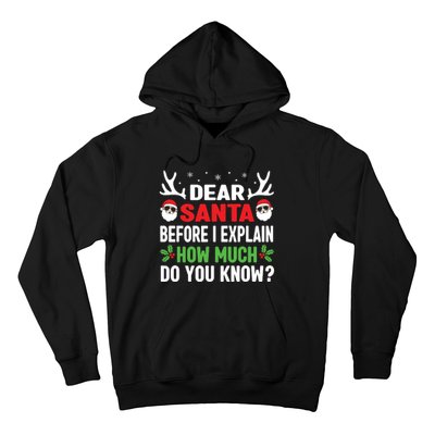 Funny Christmas Shirts Kids Adults Dear Santa I Can Explain Hoodie