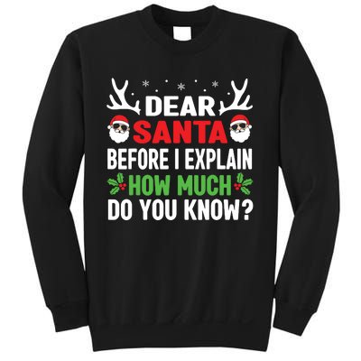 Funny Christmas Shirts Kids Adults Dear Santa I Can Explain Sweatshirt