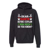 Funny Christmas Shirts Kids Adults Dear Santa I Can Explain Premium Hoodie