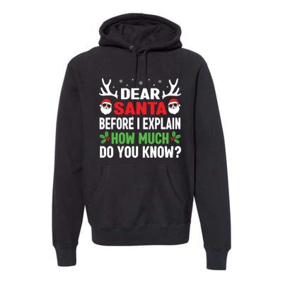 Funny Christmas Shirts Kids Adults Dear Santa I Can Explain Premium Hoodie