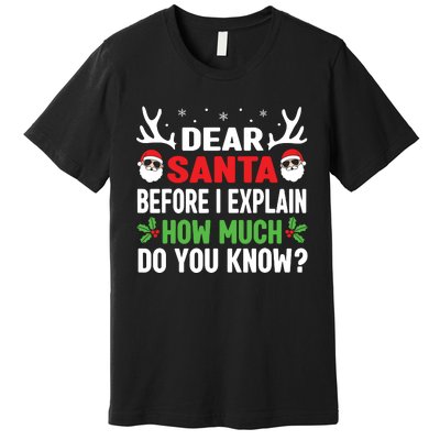 Funny Christmas Shirts Kids Adults Dear Santa I Can Explain Premium T-Shirt