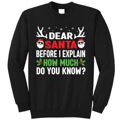 Funny Christmas Shirts Kids Adults Dear Santa I Can Explain Tall Sweatshirt