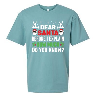 Funny Christmas Shirts Kids Adults Dear Santa I Can Explain Sueded Cloud Jersey T-Shirt