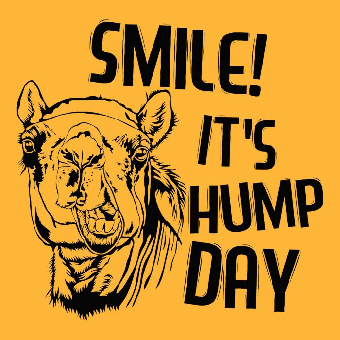 Funny Camel Smile! ItS Hump Day Funny Hump Day Sustainable Knit Beanie