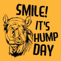 Funny Camel Smile! ItS Hump Day Funny Hump Day Pom Pom 12in Knit Beanie
