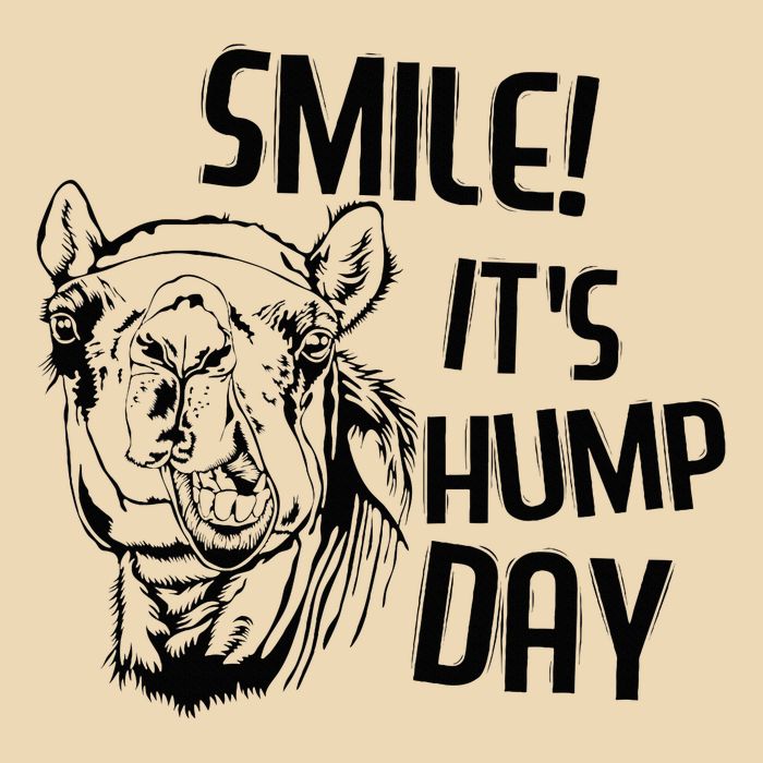 Funny Camel Smile! ItS Hump Day Funny Hump Day Drawstring Bag