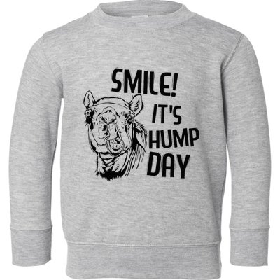 Funny Camel Smile! ItS Hump Day Funny Hump Day Toddler Sweatshirt