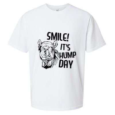 Funny Camel Smile! ItS Hump Day Funny Hump Day Sueded Cloud Jersey T-Shirt