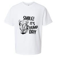 Funny Camel Smile! ItS Hump Day Funny Hump Day Sueded Cloud Jersey T-Shirt