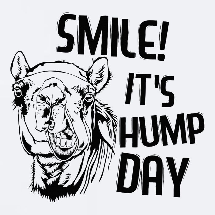 Funny Camel Smile! ItS Hump Day Funny Hump Day Sueded Cloud Jersey T-Shirt