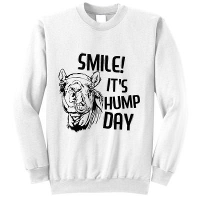 Funny Camel Smile! ItS Hump Day Funny Hump Day Sweatshirt