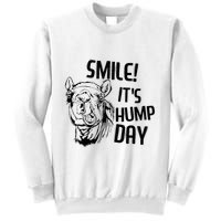 Funny Camel Smile! ItS Hump Day Funny Hump Day Sweatshirt