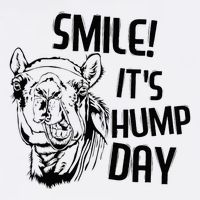 Funny Camel Smile! ItS Hump Day Funny Hump Day Button