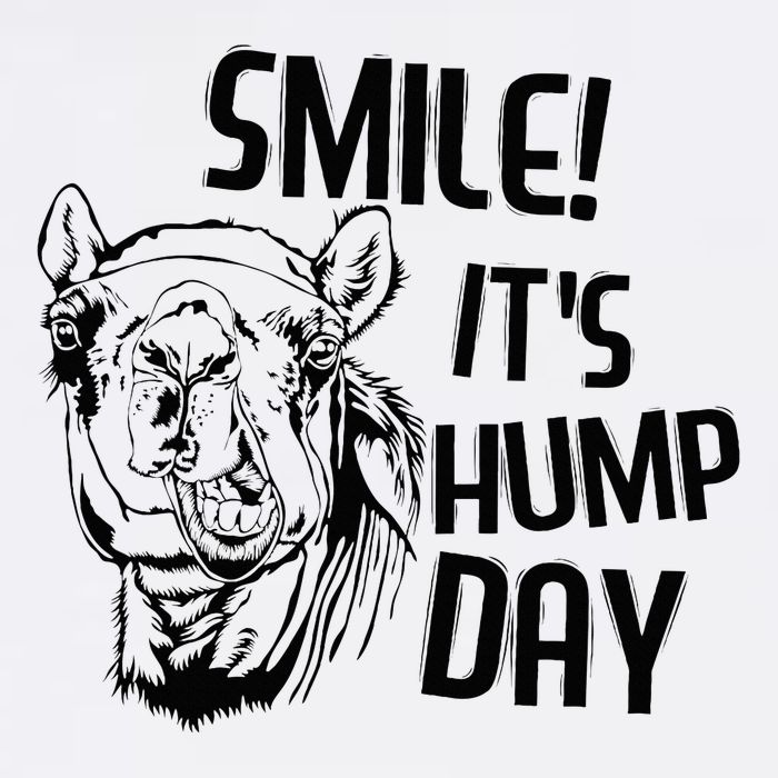 Funny Camel Smile! ItS Hump Day Funny Hump Day Button