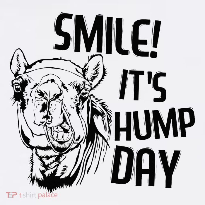 Funny Camel Smile! ItS Hump Day Funny Hump Day Mug