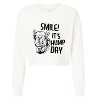 Funny Camel Smile! ItS Hump Day Funny Hump Day Cropped Pullover Crew