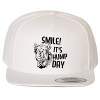 Funny Camel Smile! ItS Hump Day Funny Hump Day Wool Snapback Cap
