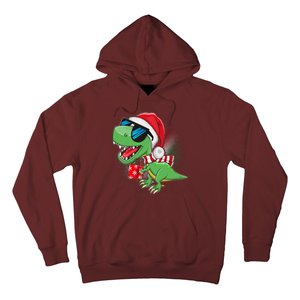 Funny Christmas Santa Trex Dinosaur Hoodie