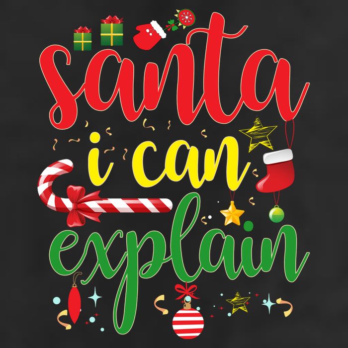 Funny Christmas Santa I Can Explain Adult Drive Performance Visor