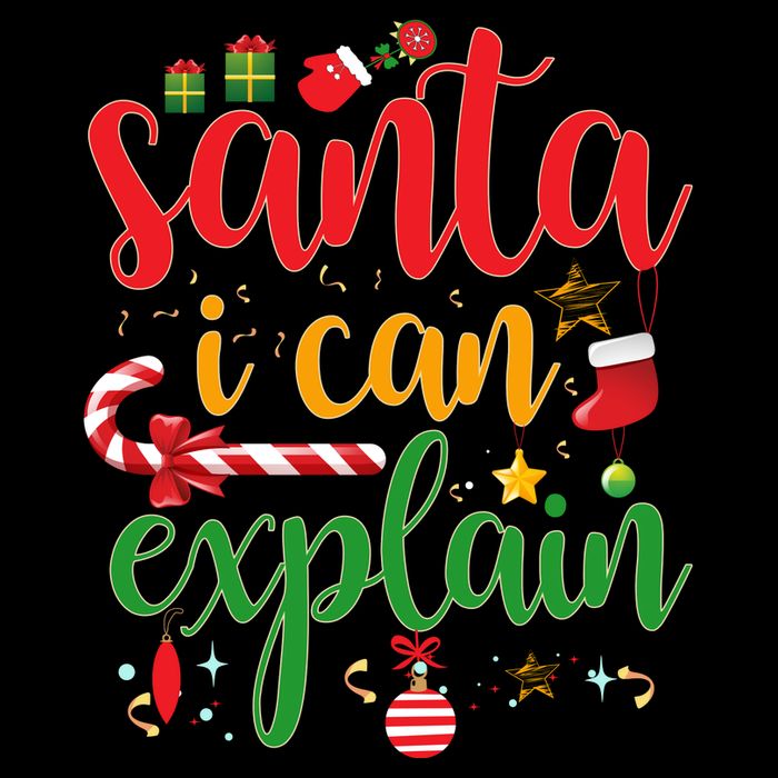 Funny Christmas Santa I Can Explain Mug
