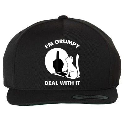 Funny Cat Shirts Cat Shadow IM Grumpy Deal With It Wool Snapback Cap