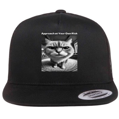 Funny Cat Silly Meme Angry Im Not In The Mood Cattitude Flat Bill Trucker Hat