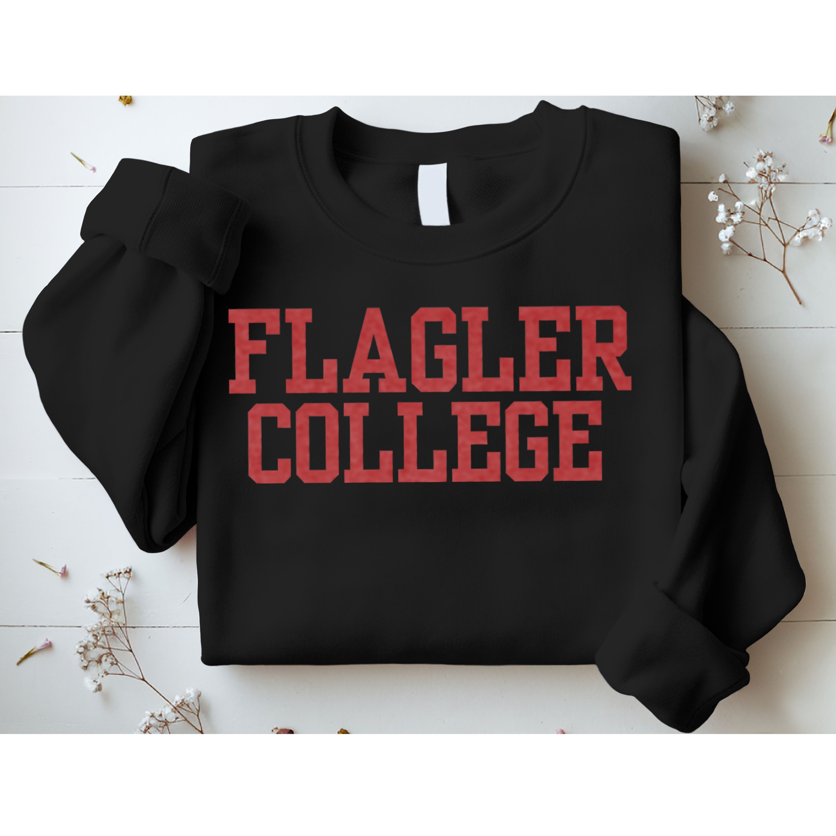 Flagler College St. Augustine Sweatshirt