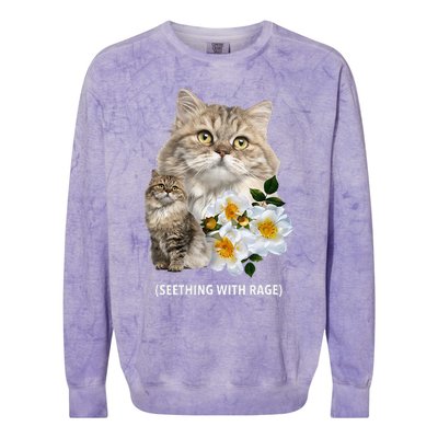 Funny Cat Seething With Rage Cute Sarcastic Kitty Feline Tee Colorblast Crewneck Sweatshirt