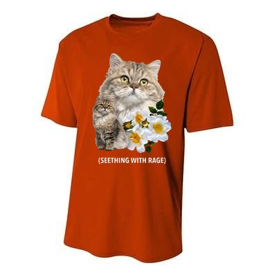 Funny Cat Seething With Rage Cute Sarcastic Kitty Feline Tee Performance Sprint T-Shirt