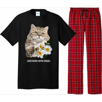 Funny Cat Seething With Rage Cute Sarcastic Kitty Feline Tee Pajama Set