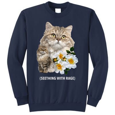 Funny Cat Seething With Rage Cute Sarcastic Kitty Feline Tee Sweatshirt