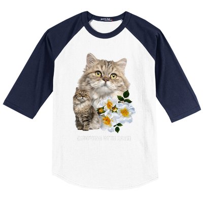 Funny Cat Seething With Rage Cute Sarcastic Kitty Feline Tee Baseball Sleeve Shirt