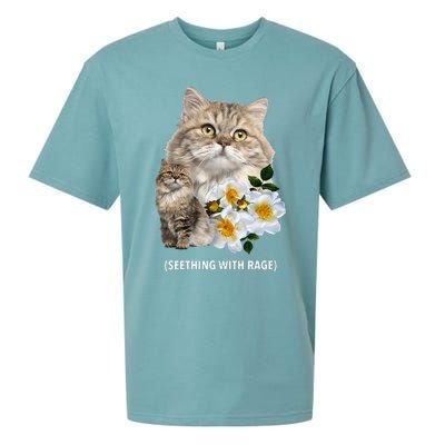 Funny Cat Seething With Rage Cute Sarcastic Kitty Feline Tee Sueded Cloud Jersey T-Shirt